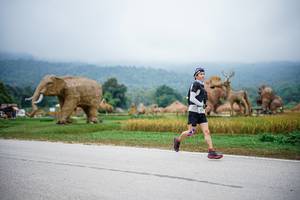 BIB: 
                            <button type="button" onclick="openModal(22407956)" class="btn btn-primary btn-sm float-right btn-popup" data-toggle="modal" data-target=".modal-high-quality">
                        <i class="fas fa-shopping-cart"></i> Add to Cart
                    </button>
                                            <button type="button" onclick="isThisMe(22407956, true)" class="btn btn-success btn-sm float-right btn-popup btn-isme hidden" data-toggle="tooltip" data-placement="bottom" title="นี่คือรูปของคุณใช่ไหม คลิกที่นี่เพื่อเอาเข้าอัลบั้ม">
                        <i class="fas fa-plus"></i> Add to album
                    </button>
                    <button type="button" onclick="isThisMe(22407956, false)" class="btn btn-warning btn-sm float-right btn-popup btn-isnotme hidden">
                        <i class="fas fa-ban"></i> Remove from album
                    </button>